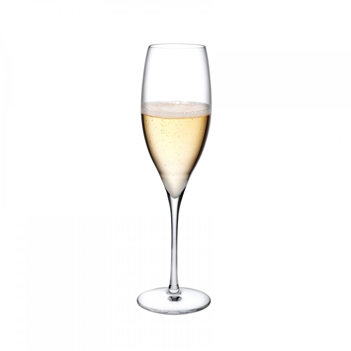 Terroir İkili Şampanya Kadehi Seti Terroir İkili Şampanya Kadehi Seti